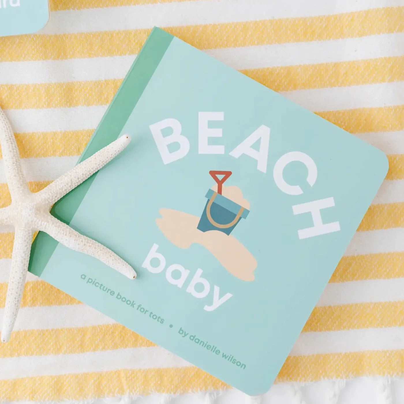 BEACH BABY BOOK